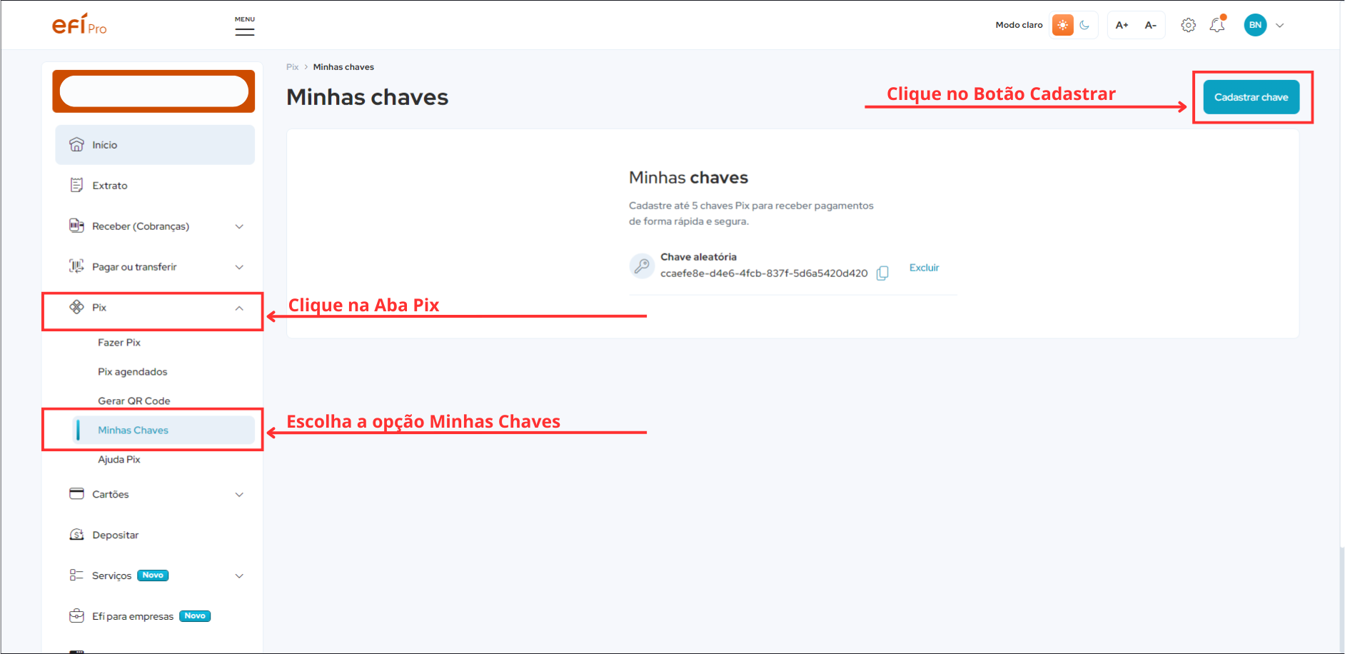 /README_IMAGES/create-pix-key.png
