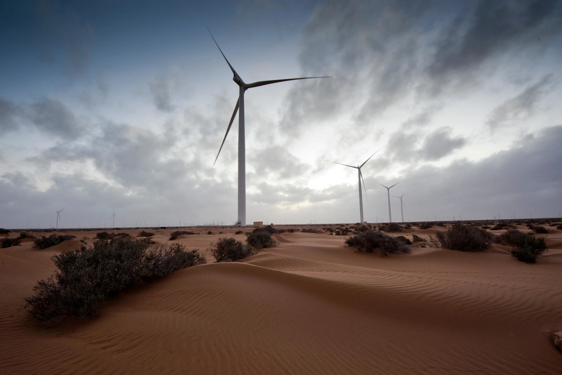 /assets/images/bgs/tarfaya_windfarm.webp