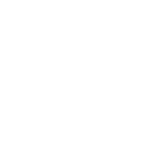 Voyage AI