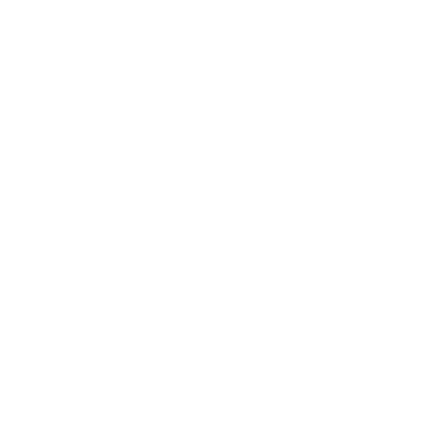 xAI Grok