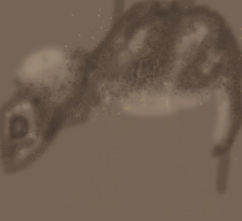 /sample/static_assets/Crea2.jpg
