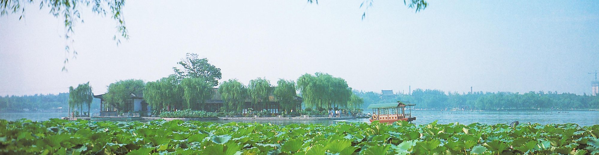 Tong Zhu Research Group