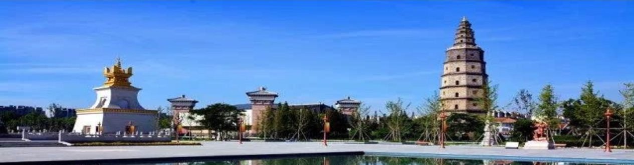 Tong Zhu Research Group