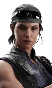 /src/operators/attack/kali/image.png