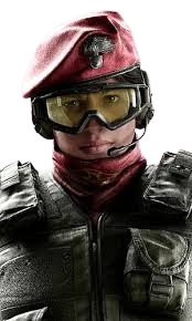 /src/operators/defense/alibi/image.png