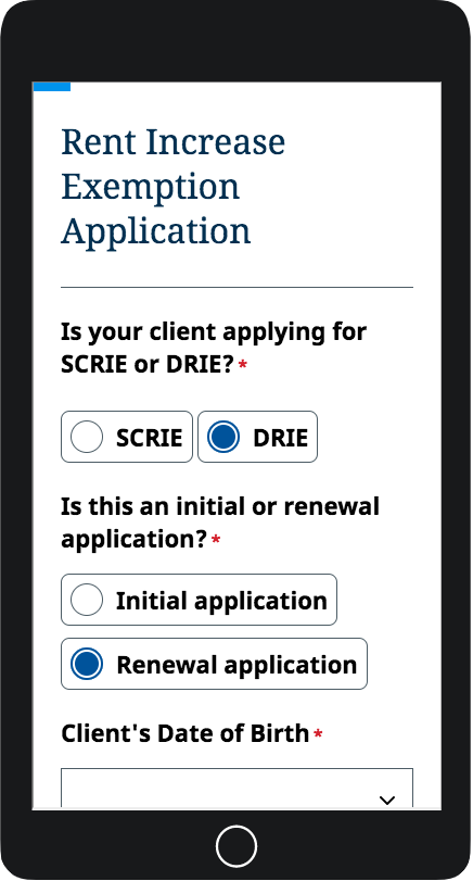 Screenshot of the ACCESS NYC Patterns Formstack Theme applied to a form.