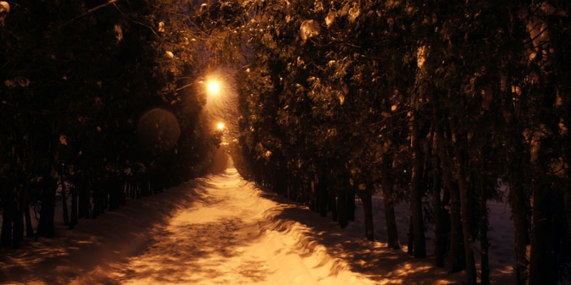 /dist/placeholder-img-800x400.jpg