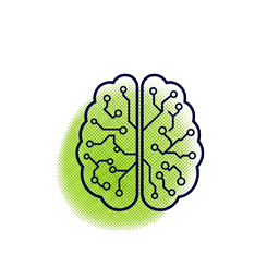 Brain