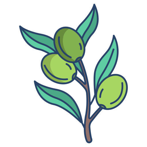 /assets/cards/olives.png