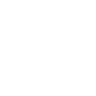 /icons/png/white/bmw.png