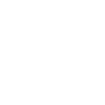 /icons/png/white/dribbble.png
