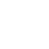 /icons/png/white/screen-shot.png
