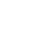 /icons/png/white/vinyl.png