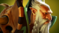 /static/images/heroes/lone_druid_s.png