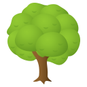 /png/128/1f333.png
