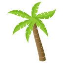 /png/128/1f334.png