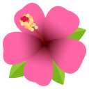 /png/128/1f33a.png