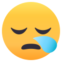 /png/128/1f62a.png