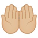 /png/128/1f932-1f3fc.png