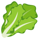/png/128/1f96c.png