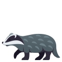 /png/128/1f9a1.png