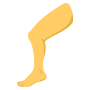 /png/128/1f9b5.png