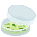 /png/128/1f9eb.png