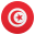 /png/32/1f1f9-1f1f3.png