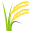 /png/32/1f33e.png