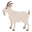 /png/32/1f410.png