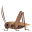 /png/32/1f997.png