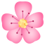 /png/64/1f338.png