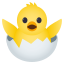/png/64/1f423.png