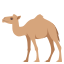 /png/64/1f42a.png