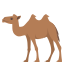 /png/64/1f42b.png