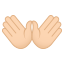 /png/64/1f450-1f3fb.png