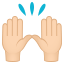 /png/64/1f64c-1f3fb.png