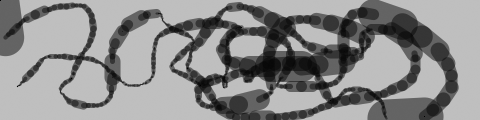 Ex 05 07