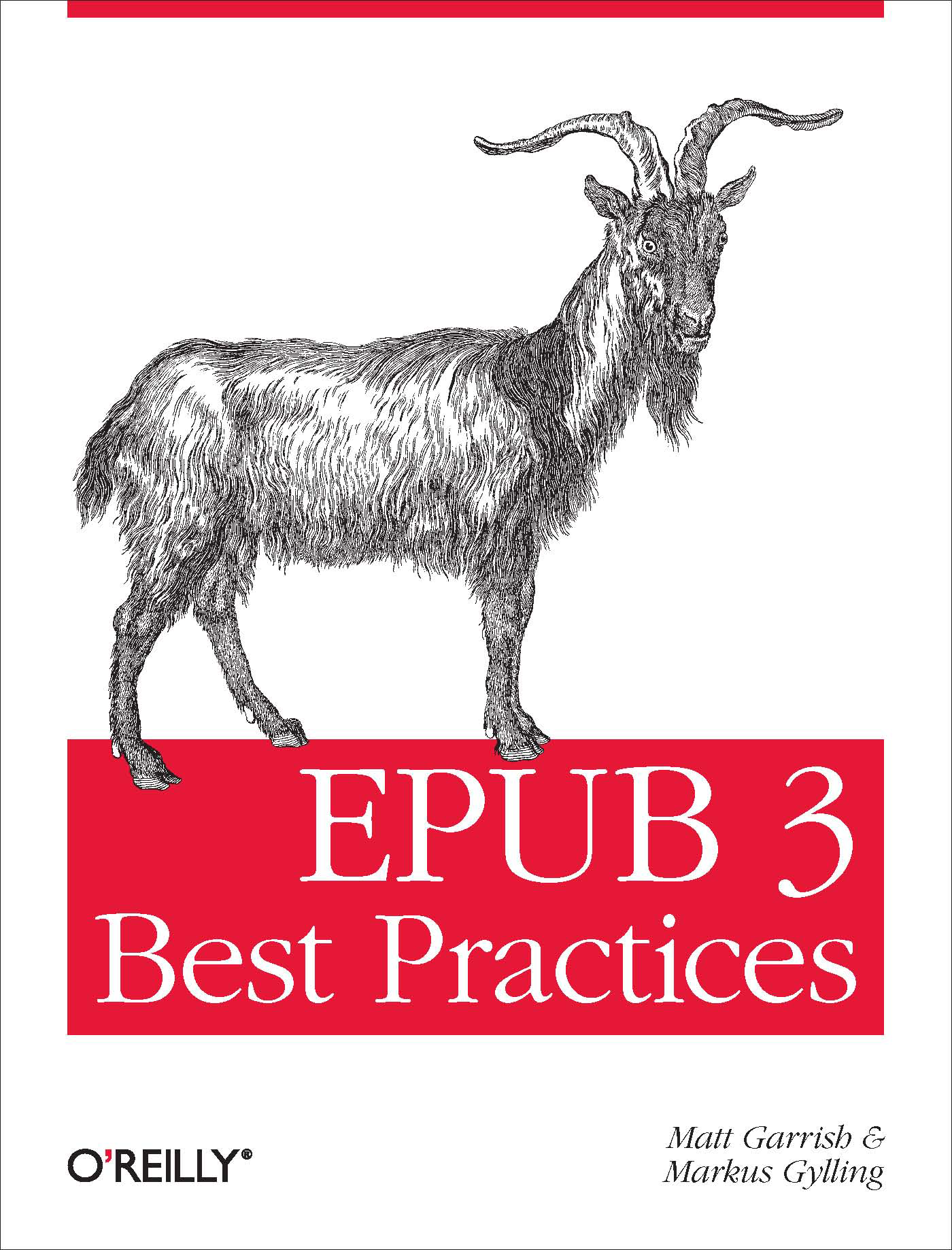 Cover art for EPUB 3 Best Practices, coming in 2012