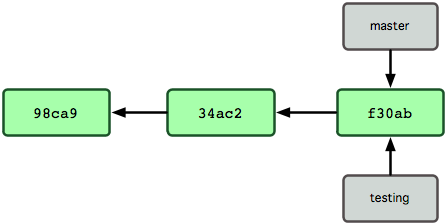 Figure 3-4. Multiple branches pointing into the commit's data history.