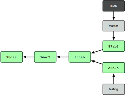 Figure 3-9. The branch histories have diverged.