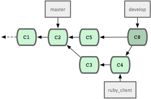 Figure 5-22. After a topic branch merge.