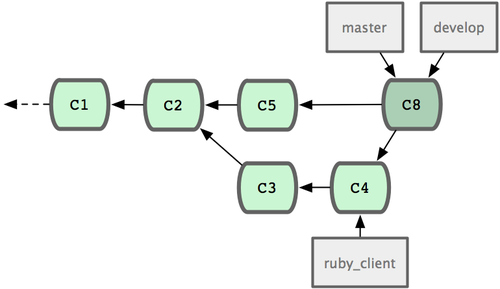 Figure 5-23. After a topic branch release.