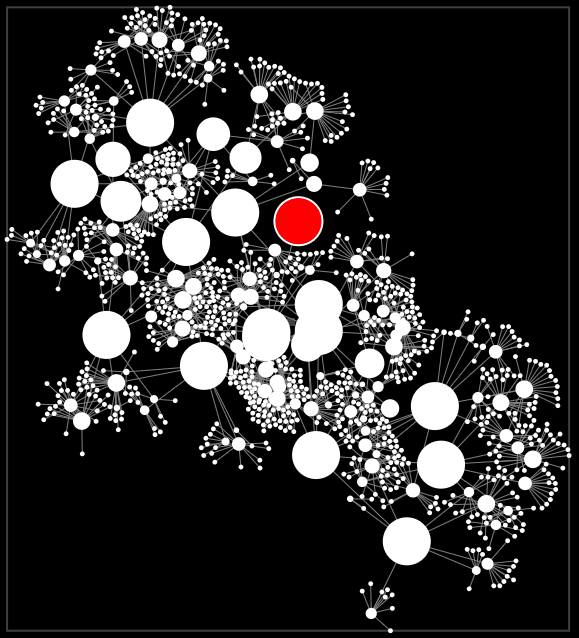 /examples/screenshots/05-force-directed-graph.png