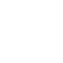 /white/png/128/bug.png