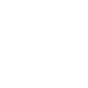 /white/png/128/chrome.png
