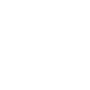 /white/png/128/vine.png