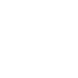 /white/png/256/500px.png