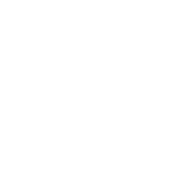 /white/png/256/adn.png