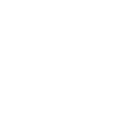 /white/png/256/ambulance.png